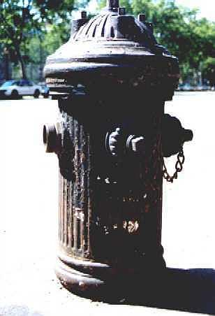 fire hydrant nyc