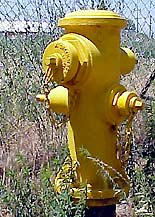 Photo of wet barrel hydrant