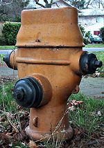 photo of Gilbert Hunt Company hydrant