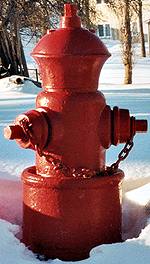 photo of Canada Water brand hydrant