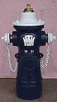 Photo of TWW hydrant