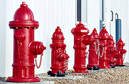 Photo of all fire hydrants in the display